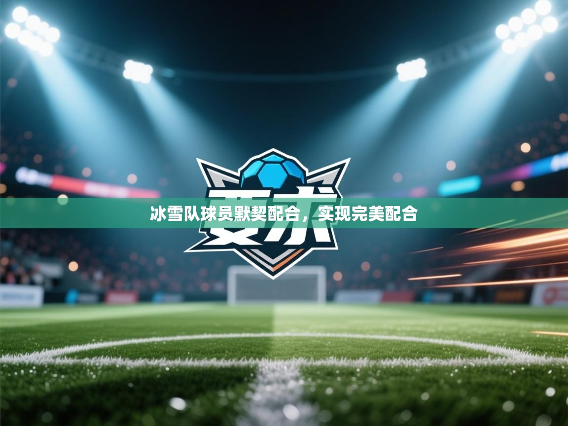 冰雪队球员默契配合,实现完美配合 第2张