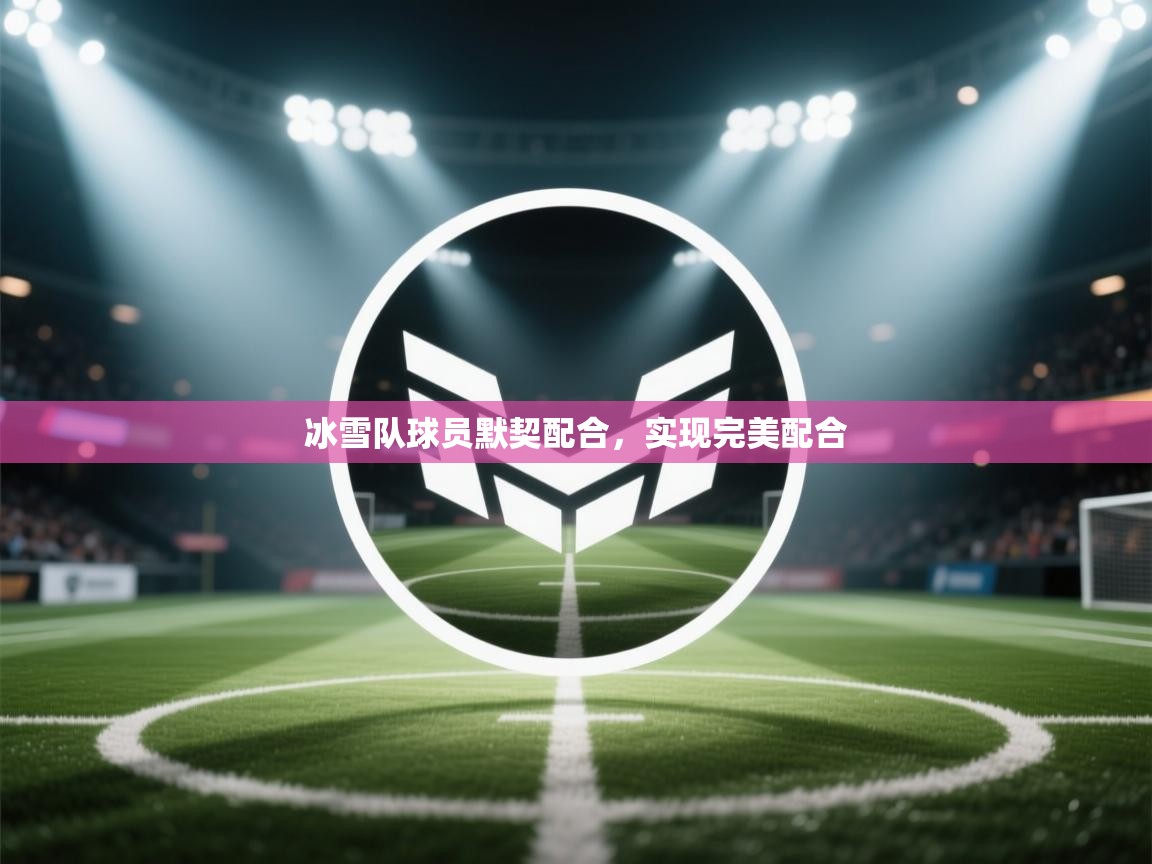冰雪队球员默契配合,实现完美配合 第1张