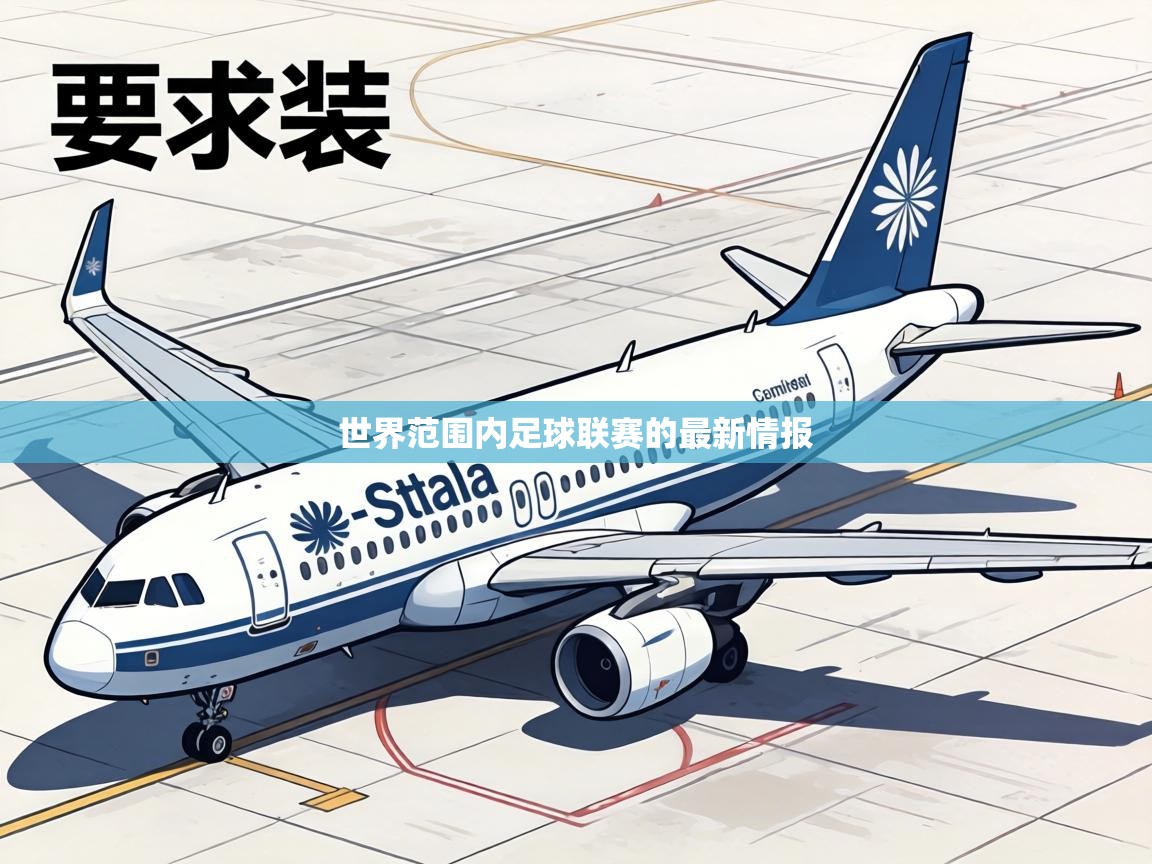 世界范围内足球联赛的最新情报 第2张